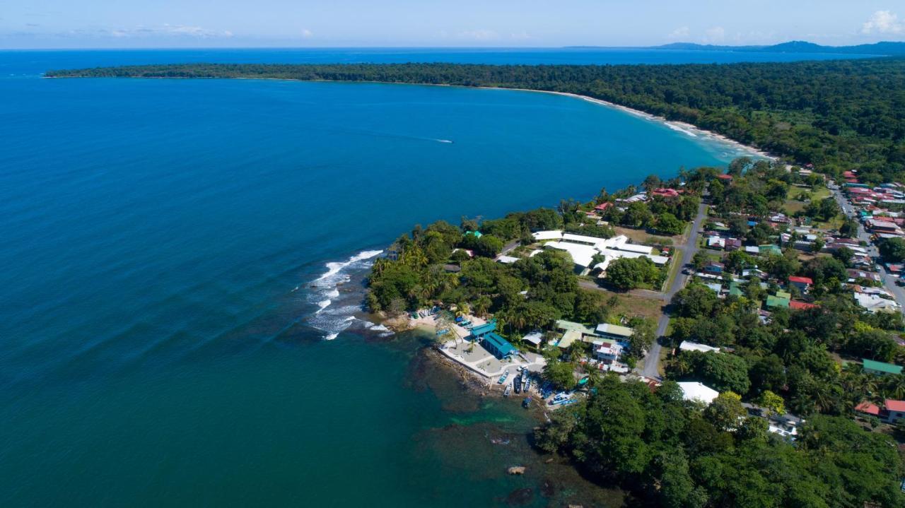 Gigi Brown Villa Paparazzi Beachfront Puerto Viejo de Talamanca Exterior foto